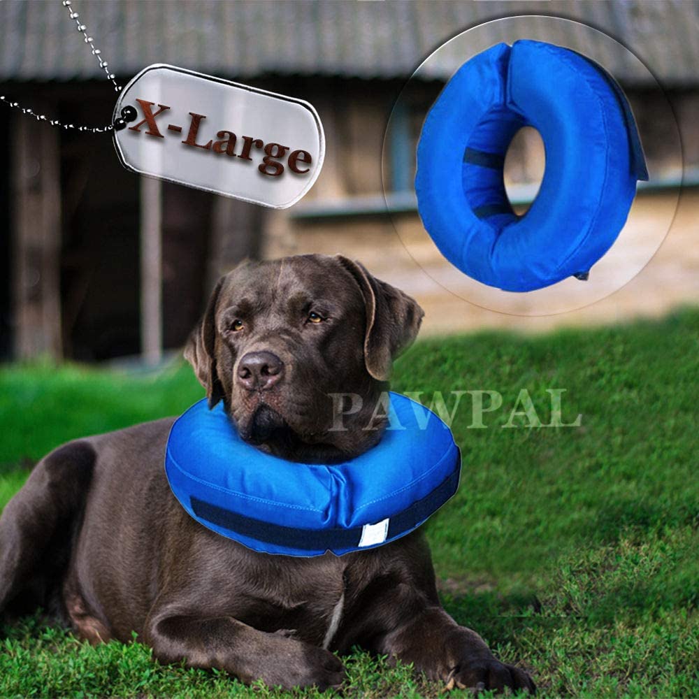 Amazon Waterproof RecoveryCollar Pillow for Dogs and Cats ComfyCone